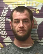 Booking photo of David Carlton, Polk County, Nov 21, 2018