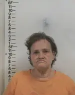 Booking photo of BARBARA A HANCOCK, Putnam County, Jul 3, 2025