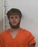 Booking photo of RICHARD DONTAE JENKINS, Putnam County, Mar 15, 2020