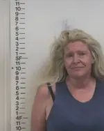 Booking photo of Angela D Barden, Putnam County, Nov 11, 2019