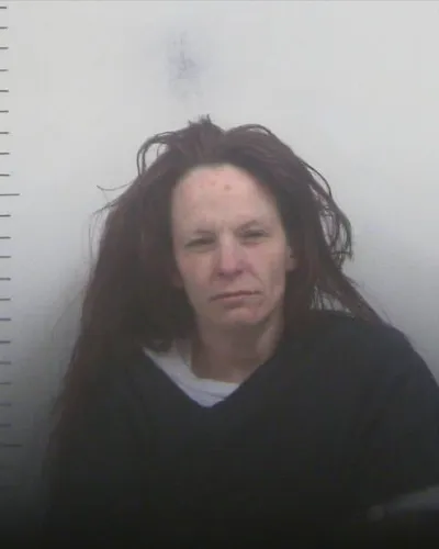 Booking photo of TIFFANY J JULIAN, Putnam County, Jan 2, 2026