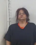 Booking photo of Cynthia D Shuffett, Putnam County, Jan 28, 2026