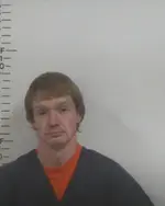 Booking photo of BRANDON L WILLIAMS, Putnam County, Nov 12, 2025