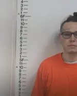 Booking photo of Preston Ryan Mills, Putnam County, Nov 12, 2024