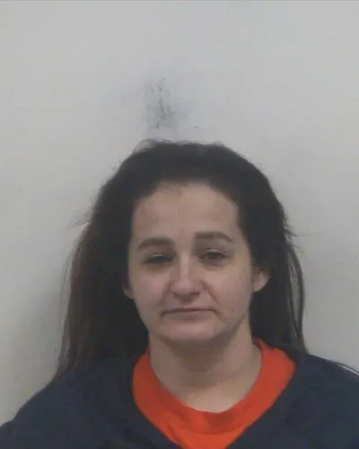 Booking photo of Sabrina M Pippin, Putnam County, Feb 15, 2026