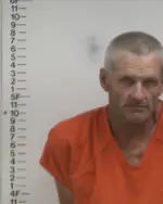 Booking photo of DAVID L BROWN, Putnam County, May 14, 2024