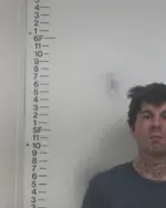 Booking photo of ETHAN CHASE WILMOTH, Putnam County, Mar 14, 2020