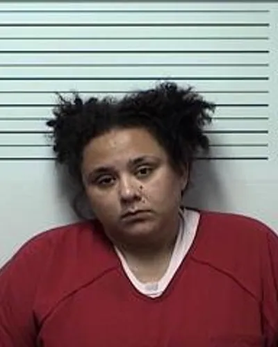 Booking photo of CHELCSE CLARK, Rhea County, Jun 11, 2024