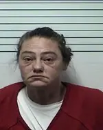 Booking photo of Rebecca Maria Ann Wilson, Rhea County, Feb 2, 2026