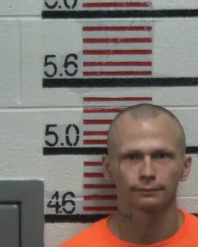 Booking photo of STACY J PHILLIPS, Scott County, Nov 15, 2024