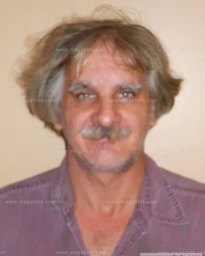 Booking photo of James Mellon, Sevier County, Feb 6, 2015