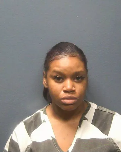 Booking photo of RENEE K CLARKE, Sevier County, Dec 6, 2025