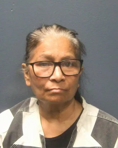Booking photo of Saroj Patel, Sevier County, Feb 5, 2026