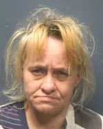 Booking photo of GINGER L HUDSON, Sevier County, May 15, 2025