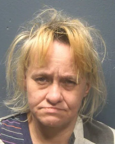 Booking photo of GINGER L HUDSON, Sevier County, May 15, 2025