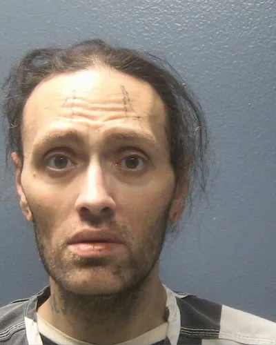 Booking photo of CHRISTOPHER M FREELS, Sevier County, Jan 1, 2026