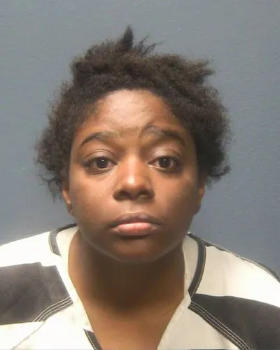 Booking photo of RIANNA A REECE, Sevier County, Nov 18, 2025