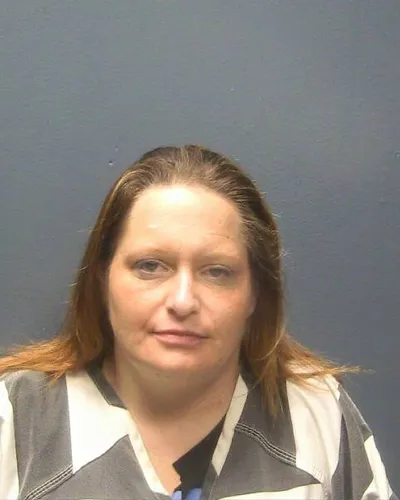 Booking photo of TONYA GIBSON, Sevier County, May 1, 2025