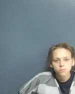 Booking photo of ANDREA L HOLMES, Sevier County, May 27, 2023