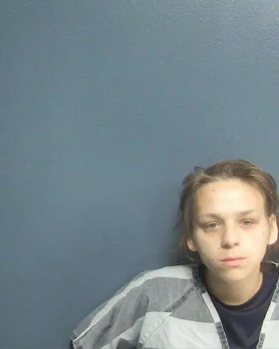 Booking photo of ANDREA L HOLMES, Sevier County, May 27, 2023