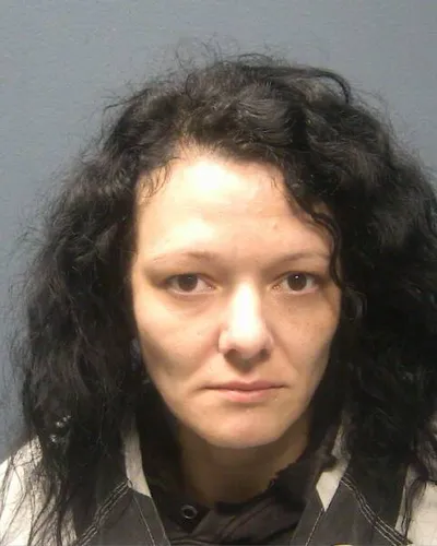 Booking photo of SYDNEY L HOWARD, Sevier County, Dec 20, 2025