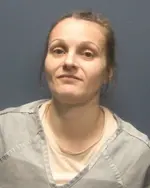 Booking photo of Phyllisha Taylor Collier, Sevier County, Sep 1, 2025