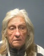 Booking photo of PATRICIA NICOLE THOMAS, Sevier County, Nov 14, 2025