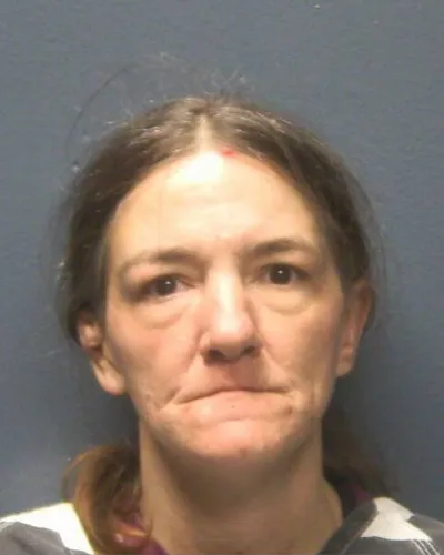 Booking photo of AMANDA E HARDEN-DAVIS, Sevier County, Nov 20, 2025