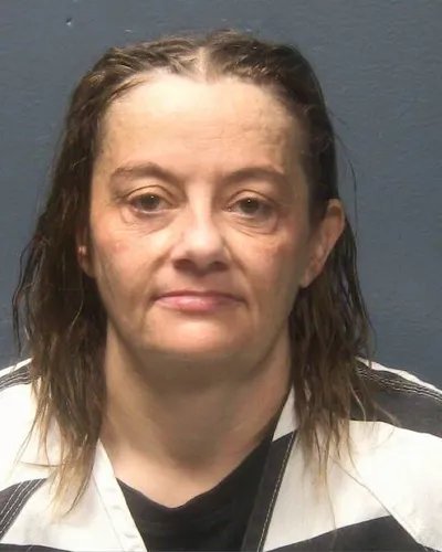 Booking photo of Bobbie Leathea Gibson, Sevier County, Feb 10, 2026